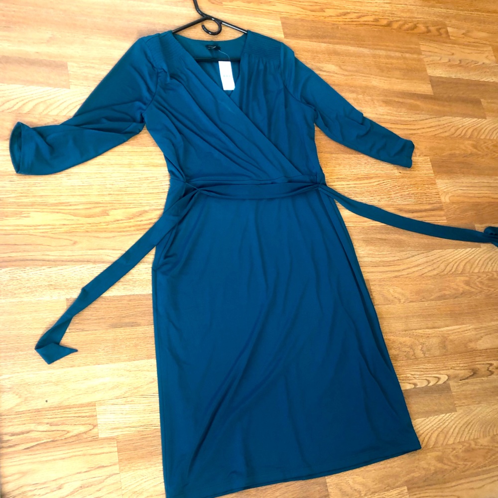 Sea Green Ann Taylor Dress